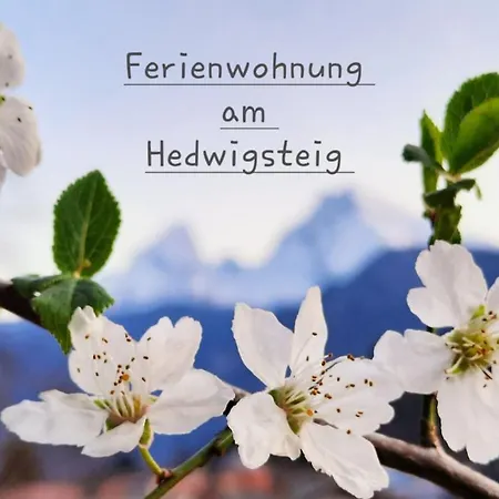 Am Hedwigsteig Apartment